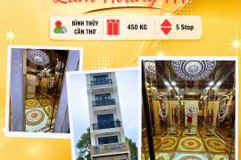 BÀN GIAO THANG MÁY MITSUGOLD TẠI CÔNG TY CP DỊCH VỤ BẢO VỆ LÂM HOÀNG HT - BÌNH THỦY, CẦN THƠ