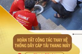 HOÀN TẤT CÔNG TÁC THAY THẾ HỆ THỐNG CÁP TẢI THANG MÁY TẠI CÔNG TY ĐIỆN LỰC THÀNH PHỐ CẦN THƠ